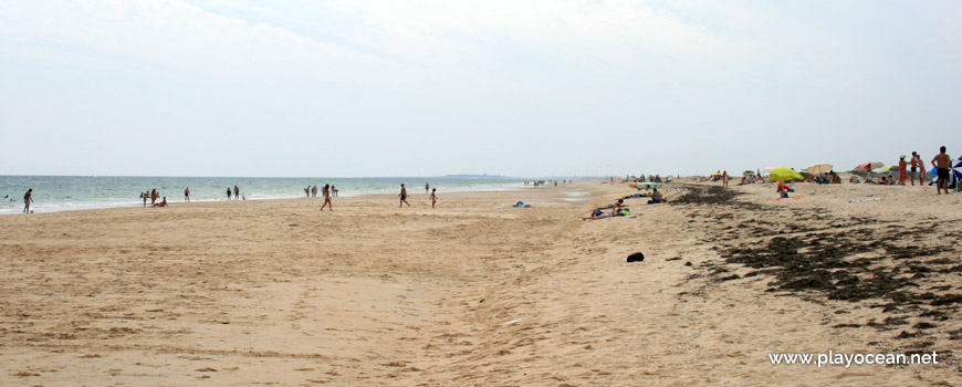 Oeste na Praia do Sítio da Fábrica (Mar)
