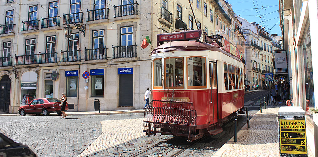 Bairro Alto de São Roque Neighborhood