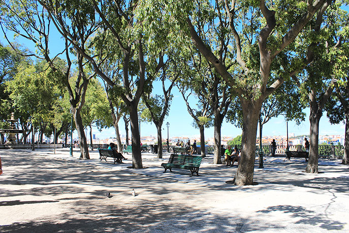 Jardim São Pedro de Alcântara garden
