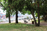 Jardim 9 de Abril