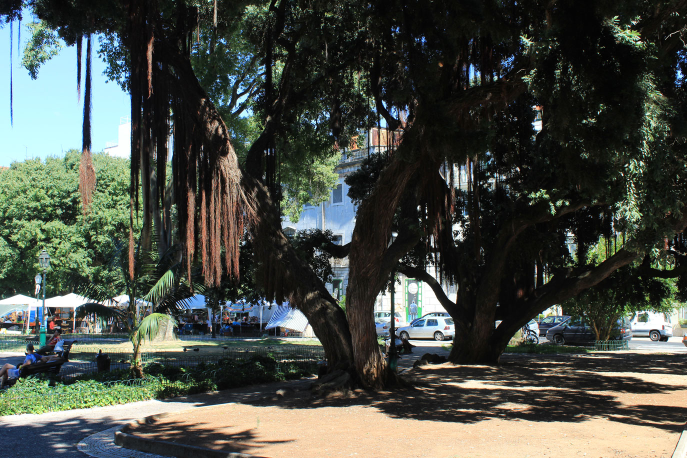 Jardim Alfredo Keil em Lisboa • Portugal