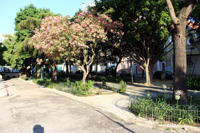 Garden António Feijó