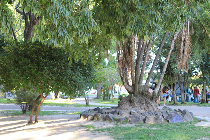 Jardim Botto Machado
