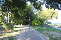 Jardim Botto Machado