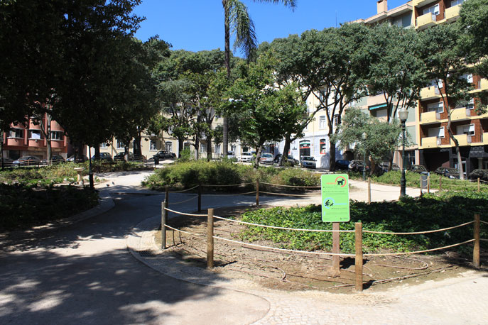 Jardim Cesário Verde