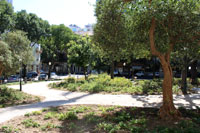 Jardim Cesário Verde