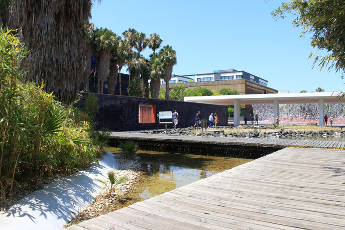 Water Garden