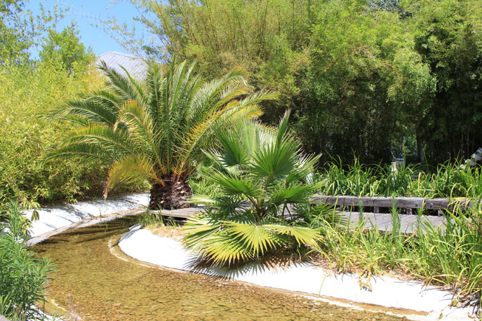 Water Garden