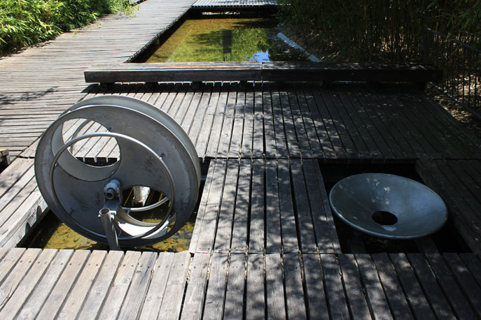 Water Garden