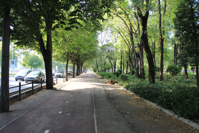 Jardim do Campo Grande