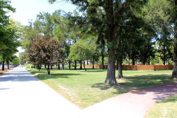 Jardim do Campo Grande
