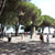 Jardim do Castelo de São Jorge