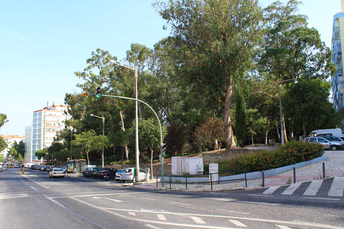 Benfica Eucalyptus Garden