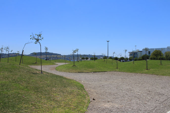 Garden of Japan