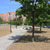 Garden of the National Museum of Ethnology