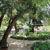 Jardim do Palácio Beau-Séjour
