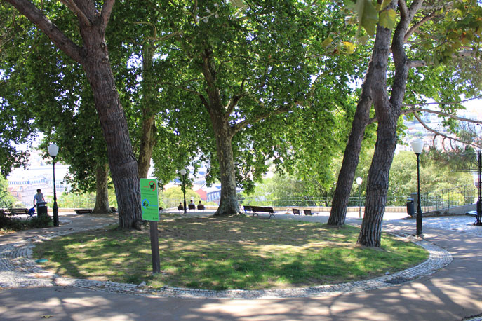 Torel Garden