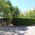Jardim dos Jacarandás