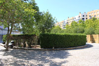 Jardim dos Jacarandás