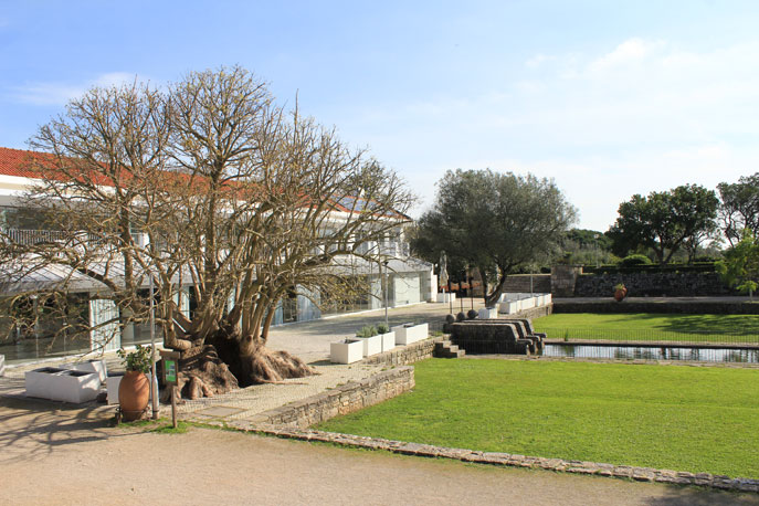 Garden of Montes Claros