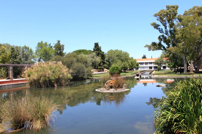 Garden of Montes Claros
