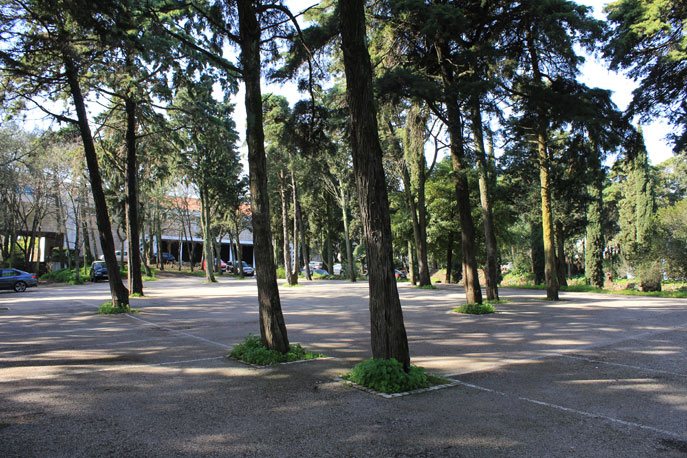 Garden of Montes Claros