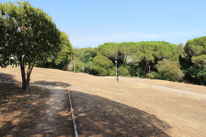 Trilhos nos campos do Jardim Ducla Soares.