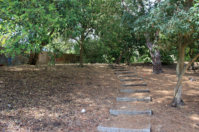 Trilho de lajes pelo arvoredo do Jardim Ducla Soares.