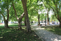 Jardim Elisa Baptista de Sousa Pedroso