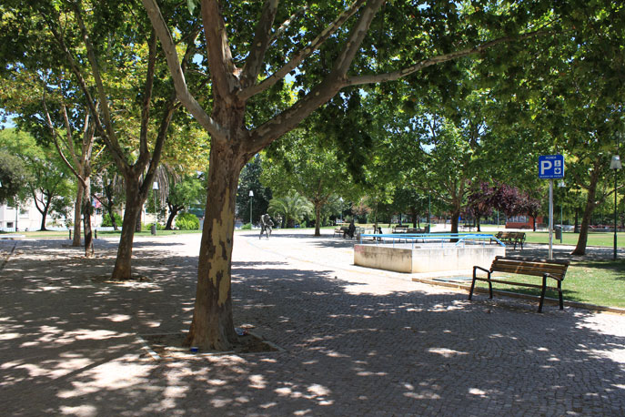 Garden Fernando Pessa
