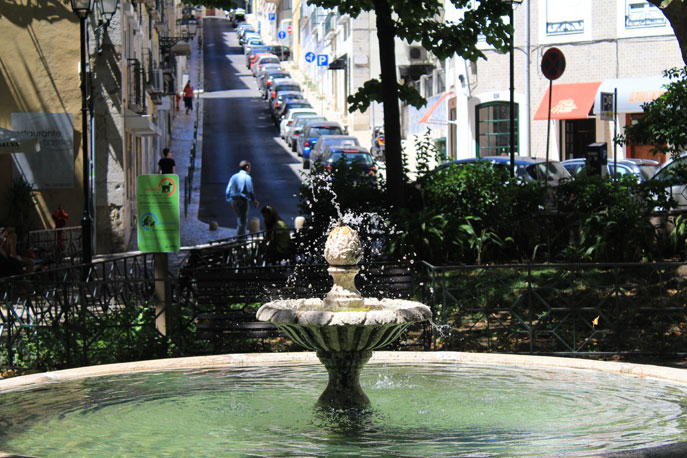 Garden Fialho de Almeida