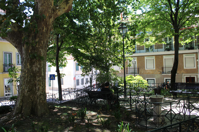 Garden Fialho de Almeida