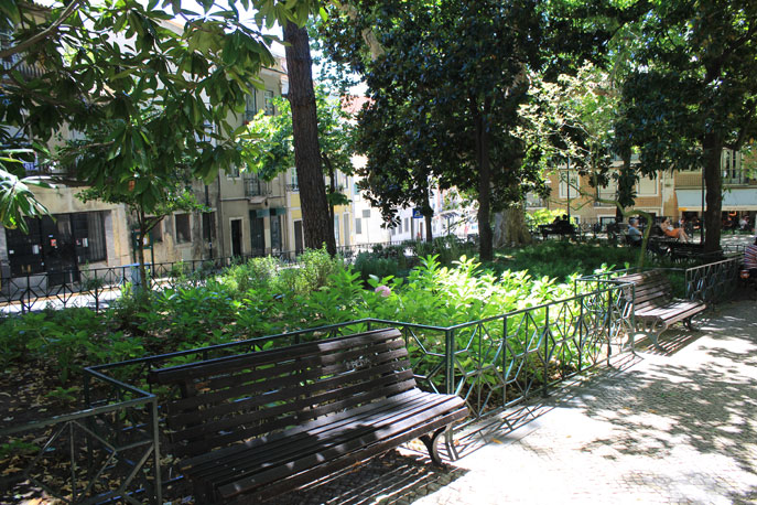 Garden Fialho de Almeida