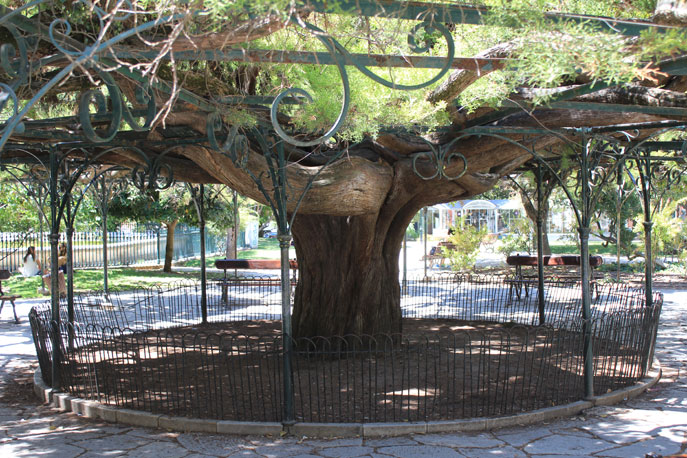 Jardim França Borges