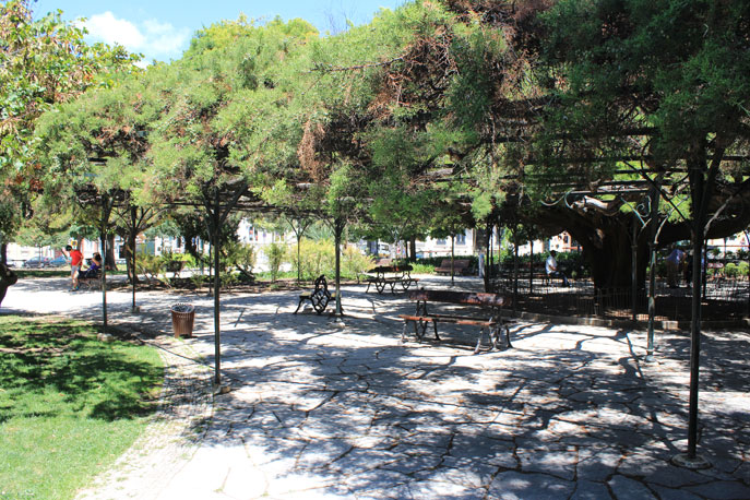 Jardim França Borges