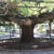 Jardim França Borges