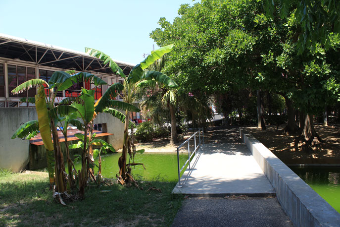 Jardim Garcia de Orta