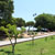 Jardim Garcia de Orta
