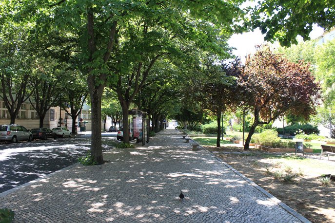 Jardim Gomes de Amorim