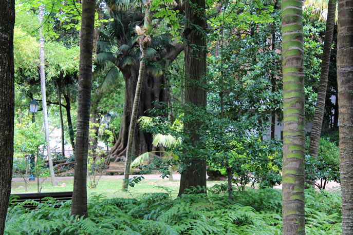 Garden Guerra Junqueiro