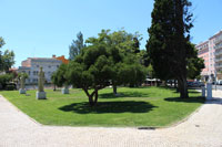 Jardim Irmã Lúcia