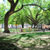 Jardim Marcelino Mesquita