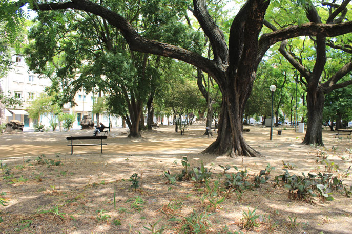 Garden Nuno Álvares