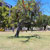 Jardim Sá da Bandeira