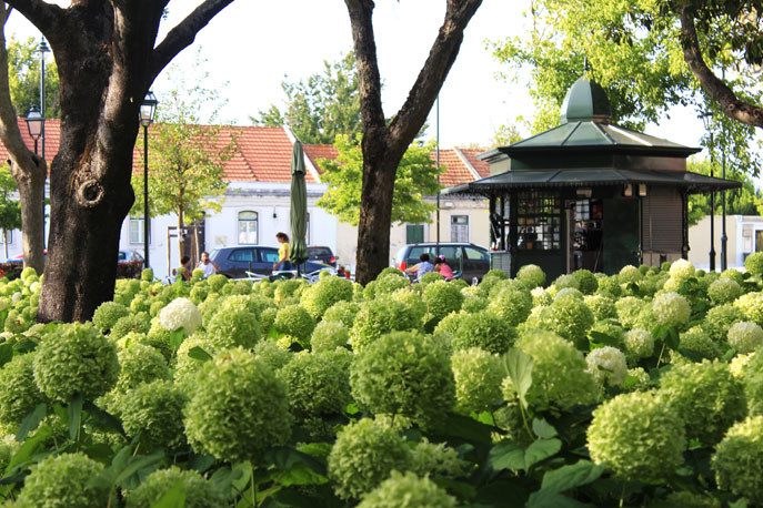 Garden Teixeira Rebelo