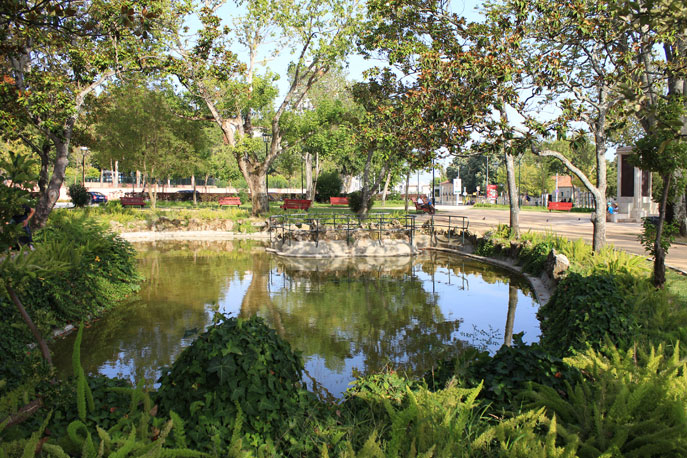Garden Teixeira Rebelo