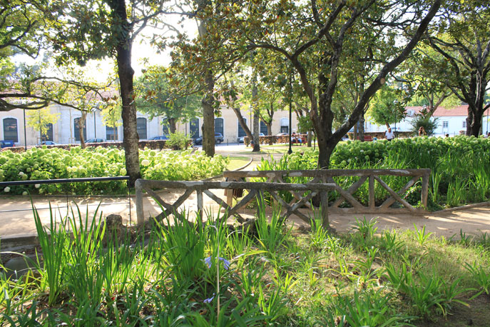 Garden Teixeira Rebelo