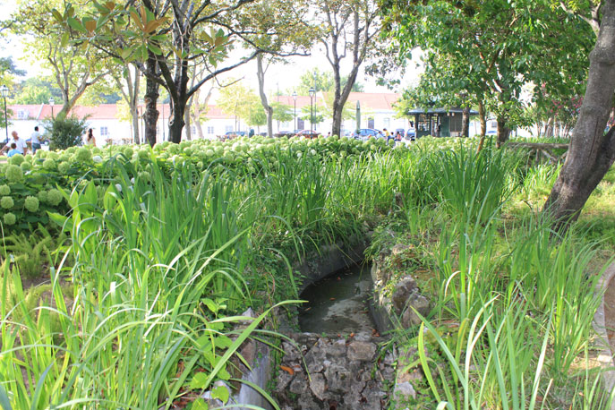 Garden Teixeira Rebelo
