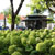 Jardim Teixeira Rebelo