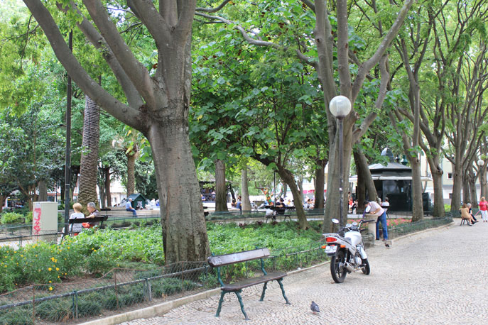 Garden Teófilo Braga